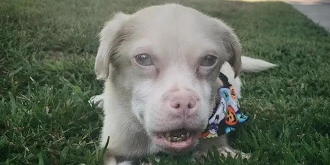 Tucker Wears Goggles