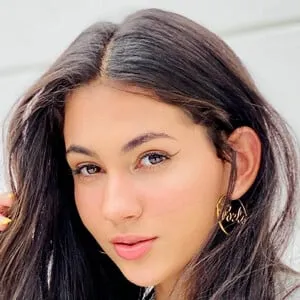 Bela Bagunça
