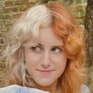 Graytulip