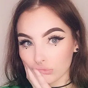 Zookdook