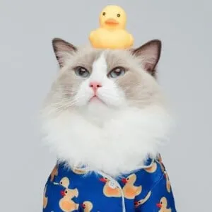 ThatLittlePuff