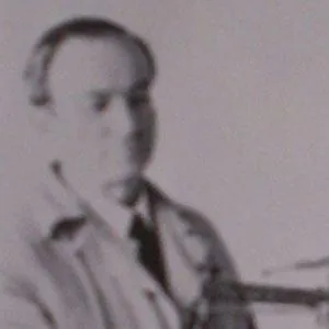 Vio Romano