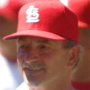 Joe Pettini