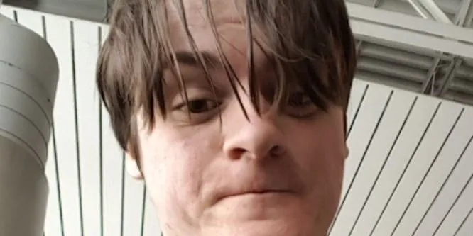 ibxtoycat