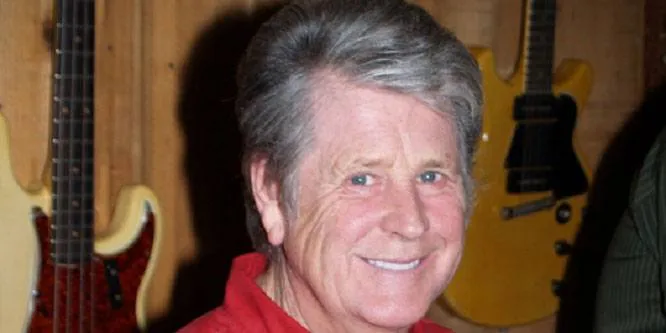Brian Wilson (Rock Singer)
