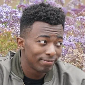 WhosChaos