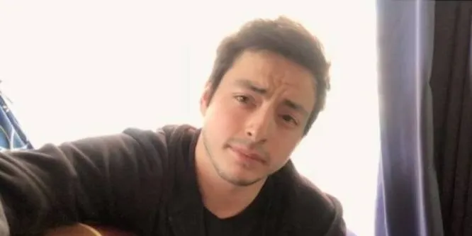 Pollo Castillo