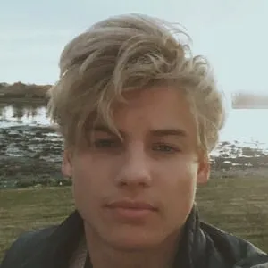 Henrik Viken