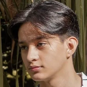 Harvey Fagarita