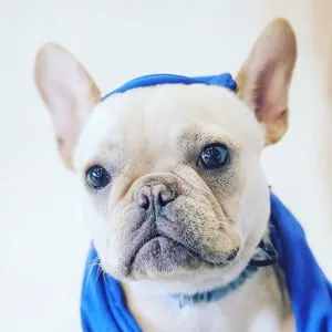 Alfie Romeo