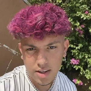 Willytube