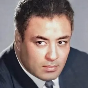 Hassan al-Imam
