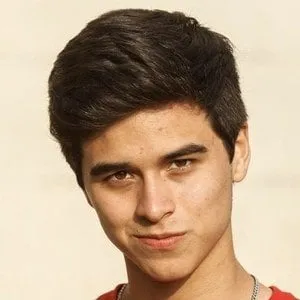 Brando Gallesi