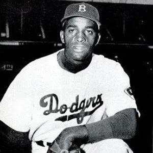 Joe Black (Baseball Player)