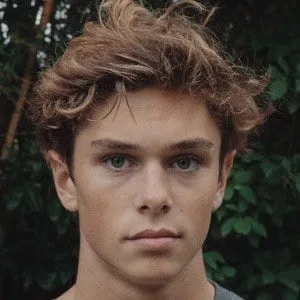 Cole Alves