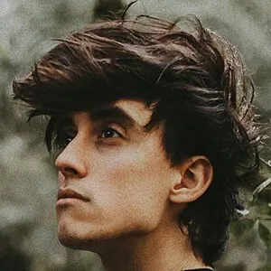lucaswaidelich