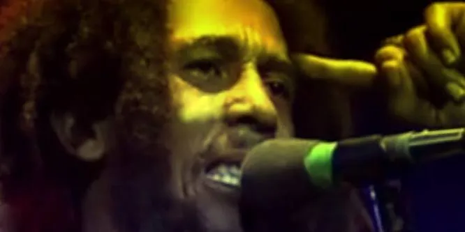 Bob Marley (Reggae Singer)