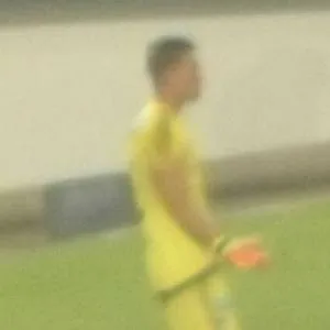 Nico Vikonis