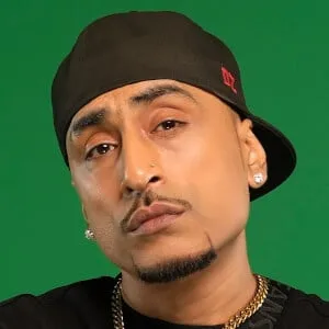 Dr Zeus