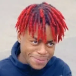 YLN Rich
