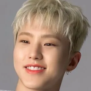 Hoshi (Pop Singer)