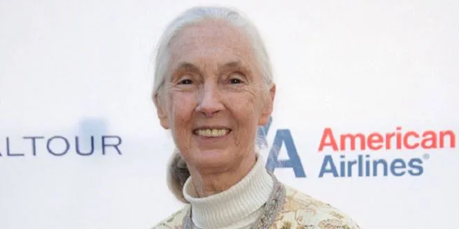 Jane Goodall