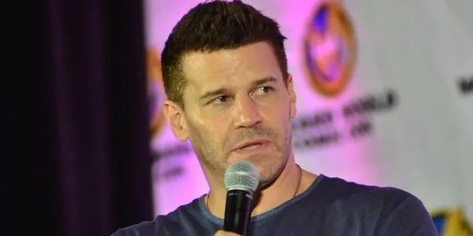 David Boreanaz
