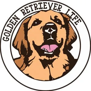 Ellie The Golden Retreiver