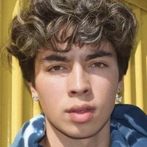 Kyle Hansen (TikTok Star)