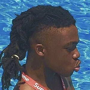 LitChris