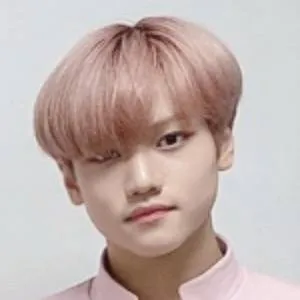 Minjae (Pop Singer)