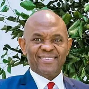 Anthony Onyemaechi Elumelu