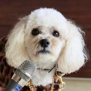 DJ Mini Matt