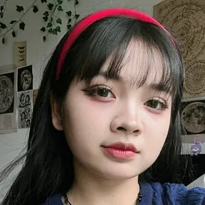 Phuong Thao (TikTok Star)