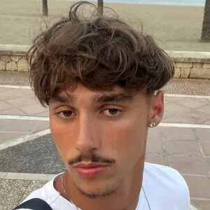 Vincent_lvv