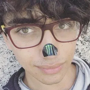 Leoreo
